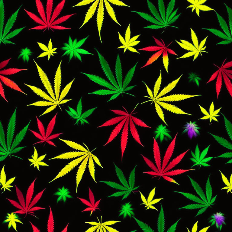 Vibrant cannabis leaf pattern in red, yellow, and green