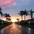 Tropical resort at dusk: palm trees, illuminated villas, starry sky.