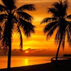 Tropical sunset with palm tree silhouettes, plane, and beach huts