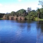 Tranquil Lake Reflecting Green and Pink Forest Under Blue Sky