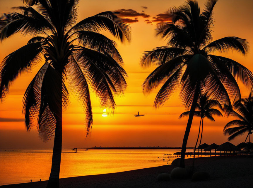 Tropical sunset with palm tree silhouettes, plane, and beach huts