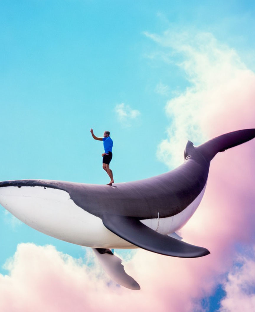 Person balancing on giant inflatable orca whale in cloudy blue sky