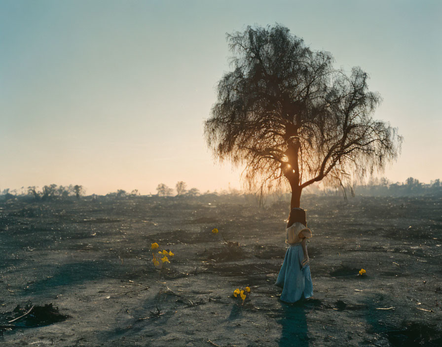 Person in hat stands by solitary tree in barren landscape at sunset