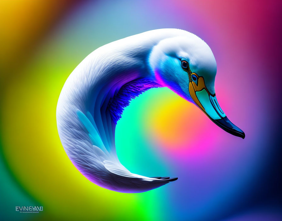 Digitally Edited Swan Image with Circular Neck Against Vibrant Background