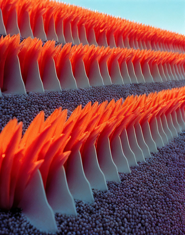 Orange Bristles and Purple Beads under Blue Sky