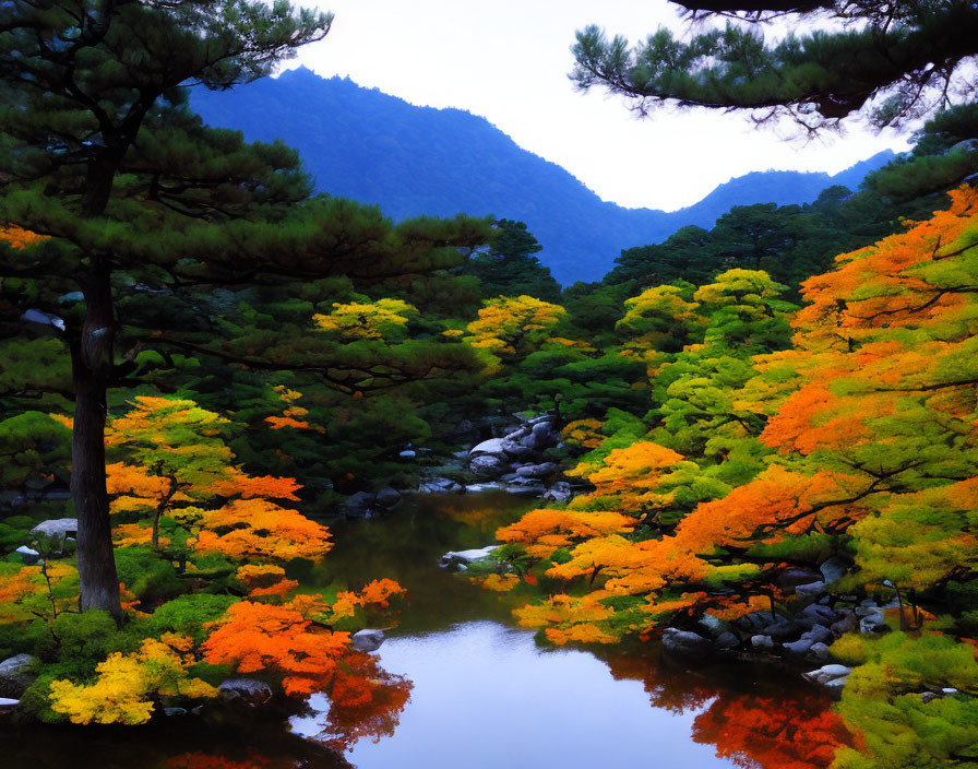 Tranquil Japanese Garden with Orange and Green Trees