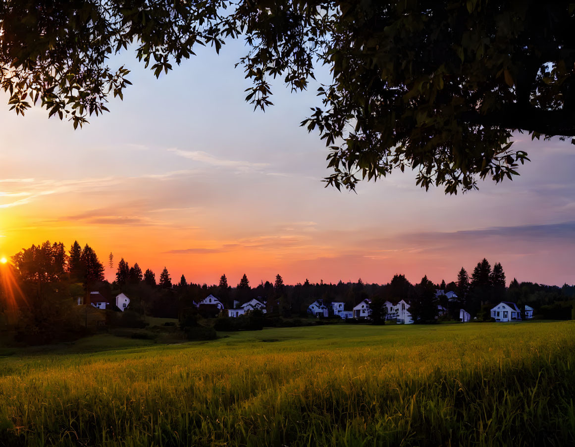 Tranquil sunset over field with tree silhouette and distant houses