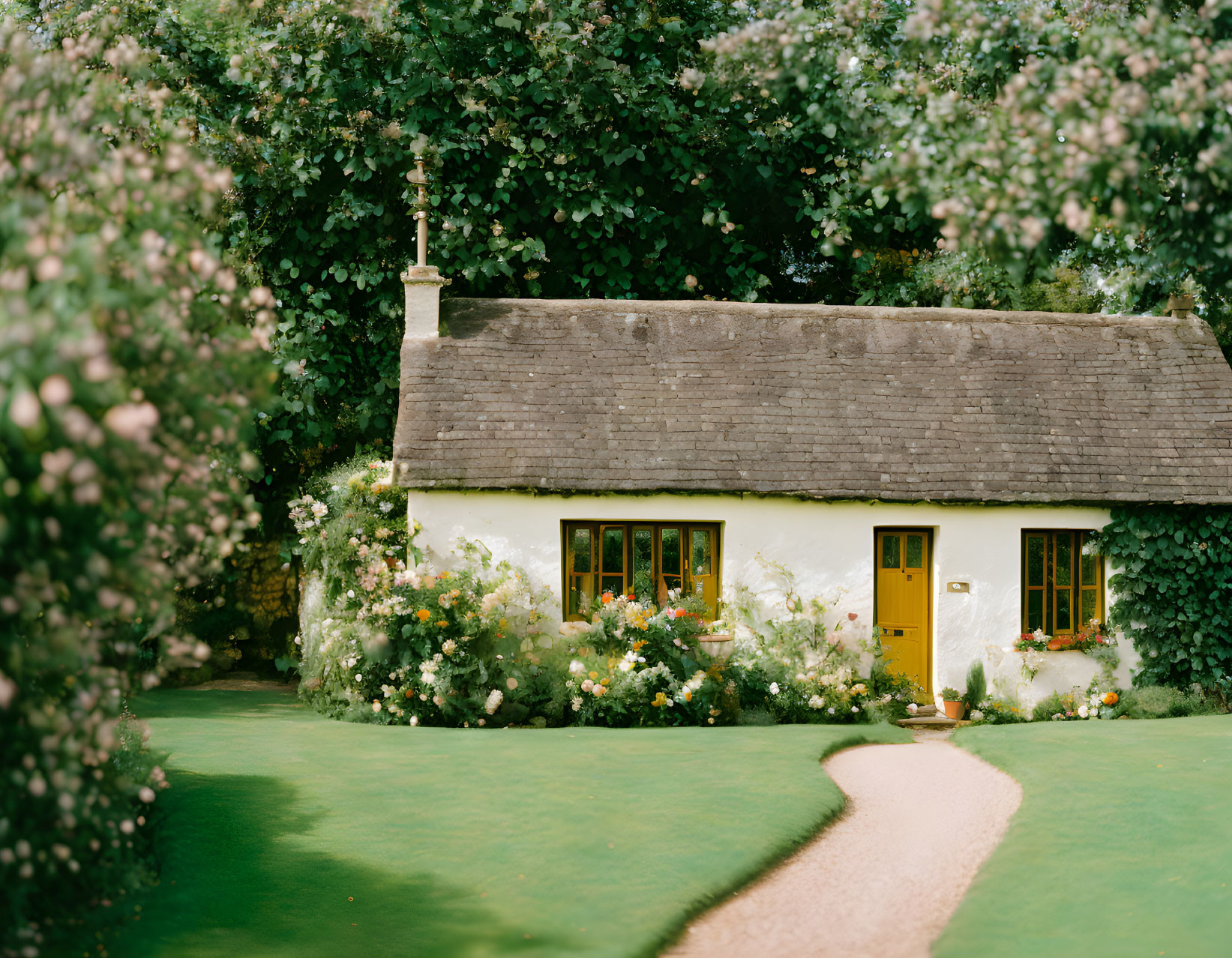 Yellow-doored cottage surrounded by greenery and flowers with a winding path