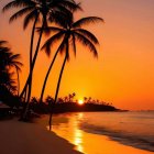 Vivid Orange and Yellow Sunset Over Water with Palm Tree Silhouettes