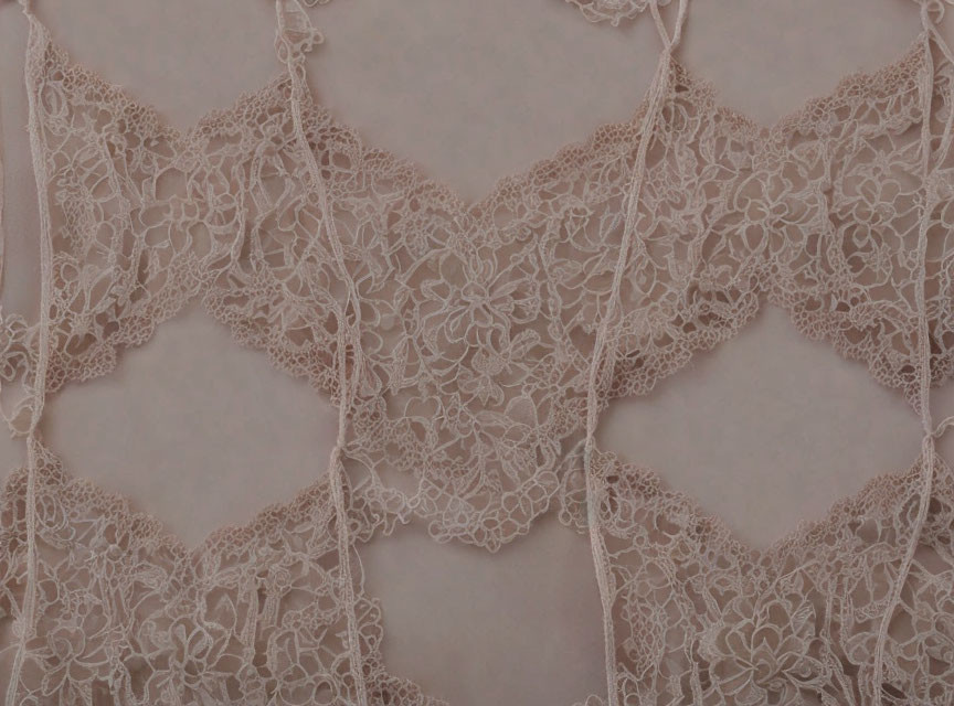 Beige Lace Fabric: Intricate Floral Patterns & Scalloped Edges