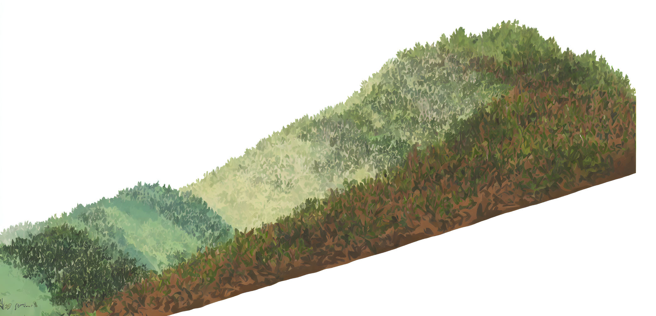 Isometric illustration of lush green hillside