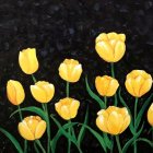 Colorful Paint Splattered Yellow Tulips on Dark Background