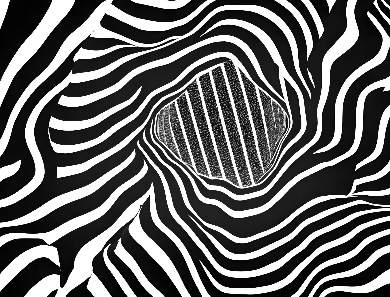 Abstract black and white zebra stripe pattern with central vortex distortion