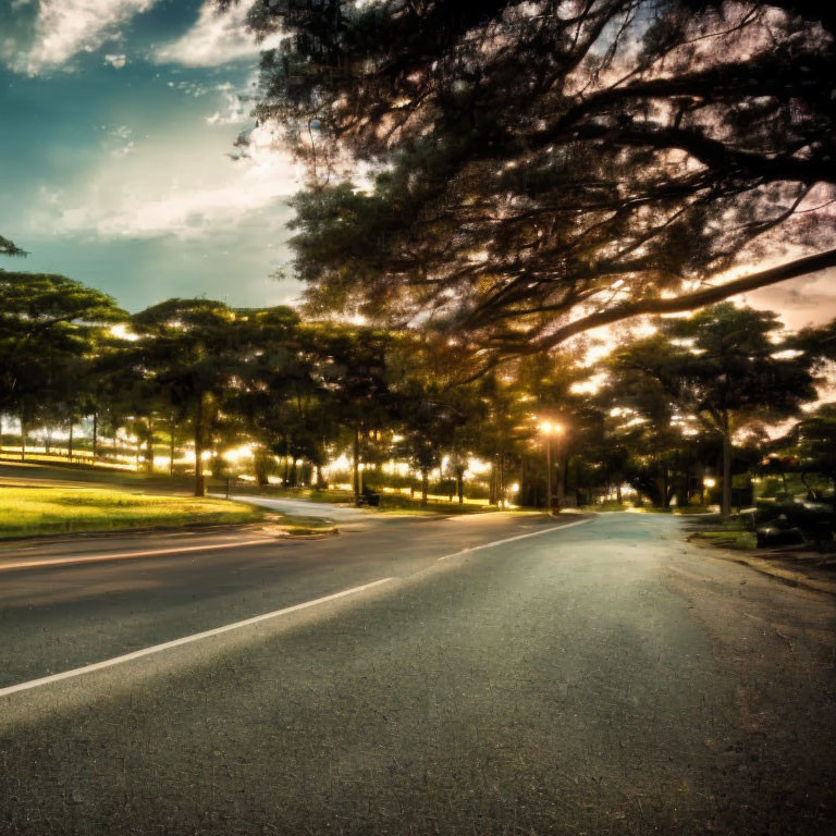 Serene park with empty curving road at sunset