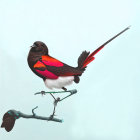 Colorful bird with crest on branch with flowers and leaves