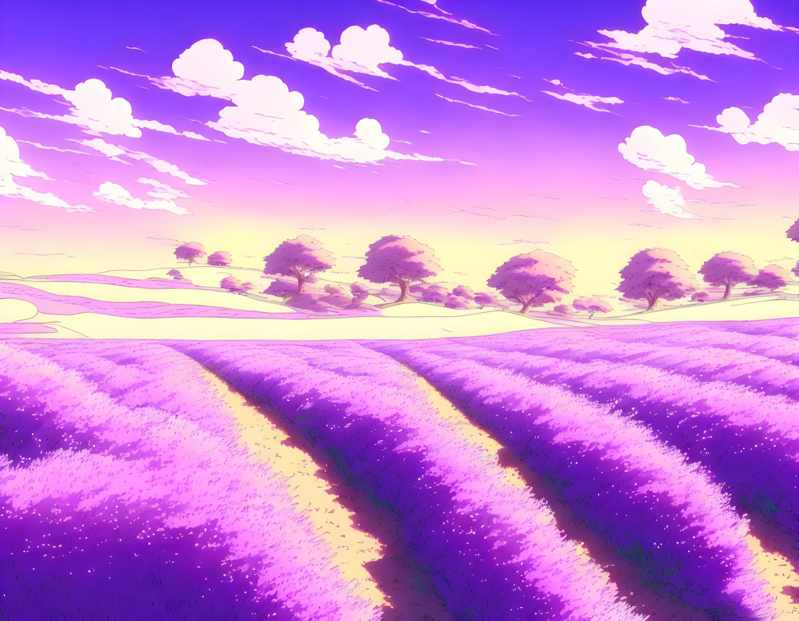 Lavender Fields with Purple and Yellow Sky