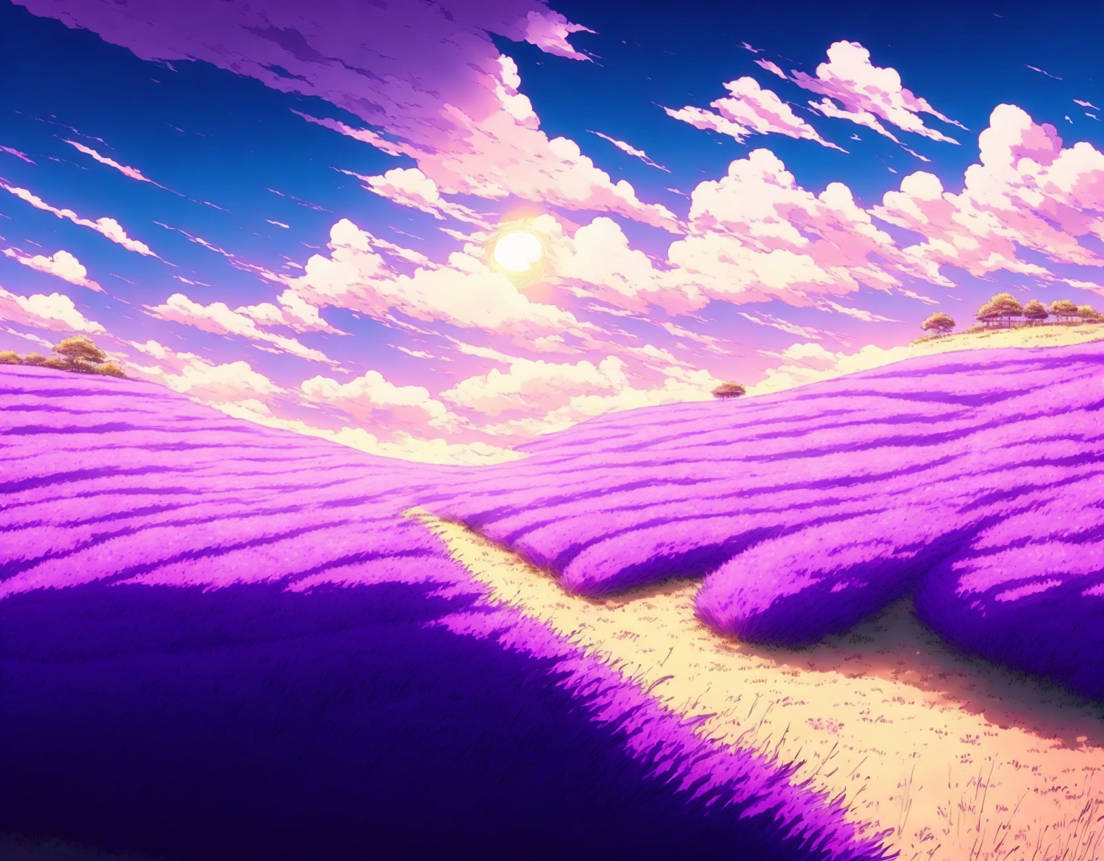 Vibrant sunset sky over rolling lavender fields