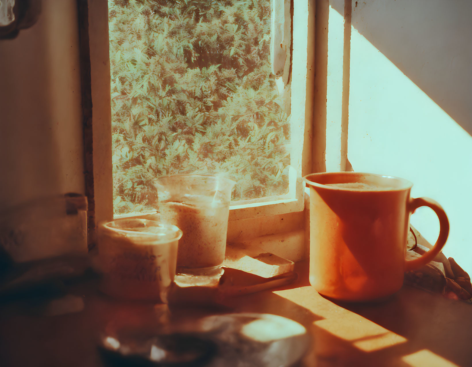 Cozy windowsill scene with coffee, biscuits, and greenery