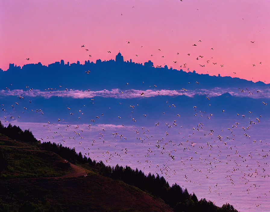 Birds flying over fog-covered landscape at sunrise