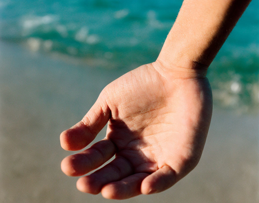 Extended open hand against blurred ocean background with sunlight highlighting texture.