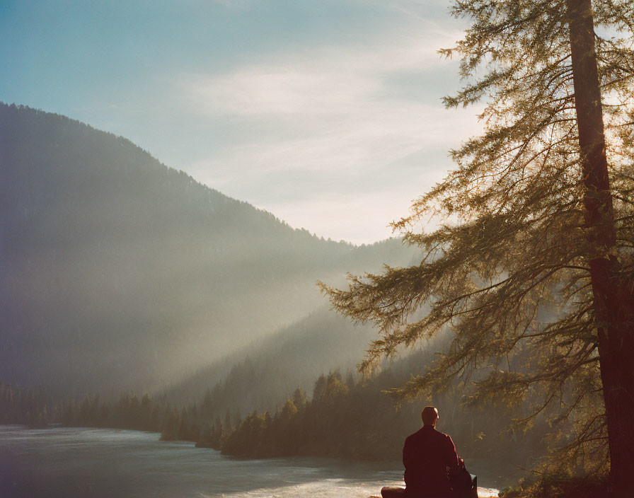 Person sitting by misty lake with trees and mountains in background