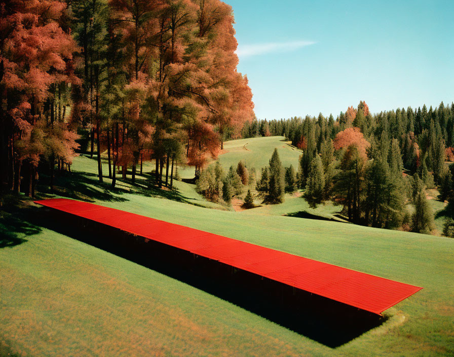 Green field with row of tall trees and long red installation.