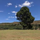 Scenic landscape with lone tree, horse, hills, and blue sky