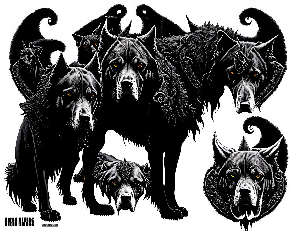 Monochrome illustration of fierce wolves with swirling fur patterns