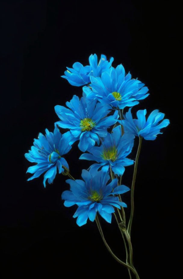 Vibrant blue flowers with yellow centers on dark background