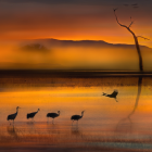 Orange-hued mountains reflected in water with bubbles and decorative elements against a dusk sky