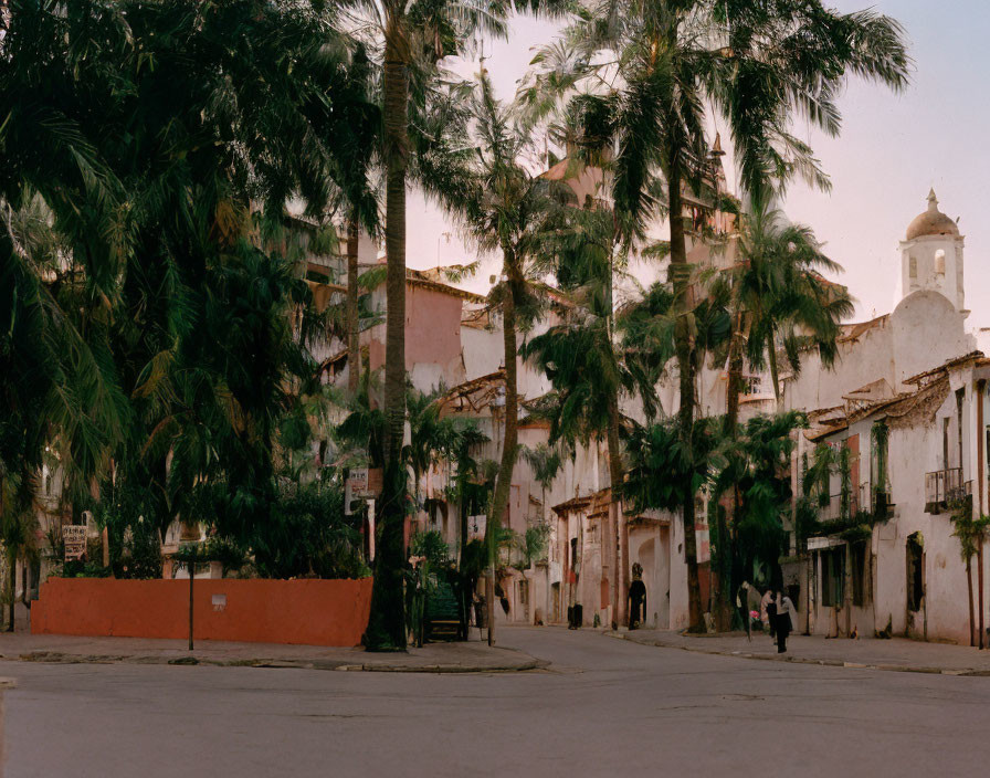 Colonial buildings and palm trees on picturesque street at sunset