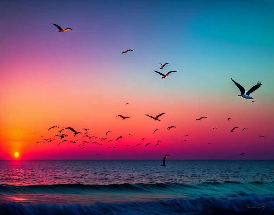 Vibrant ocean sunset with colorful sky and flying birds