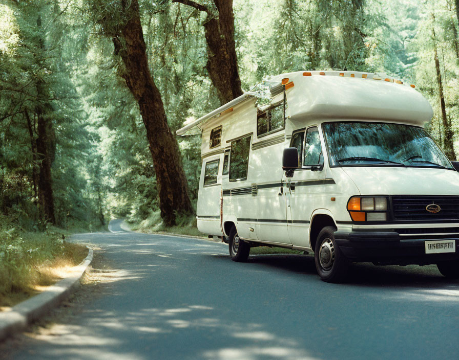 RV parked near lush green trees on roadside forest.