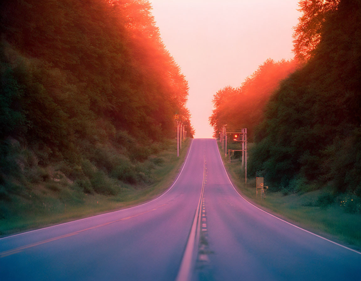 Tranquil road bordered by lush trees and traffic lights at sunrise or sunset