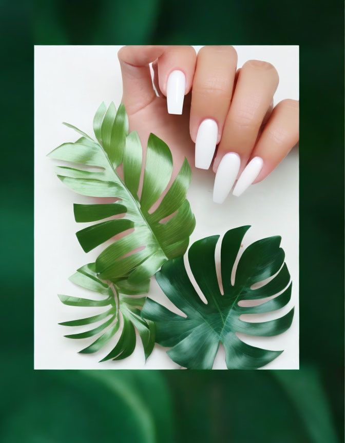 White polished nails holding tropical leaf against white sheet framed by green foliage.