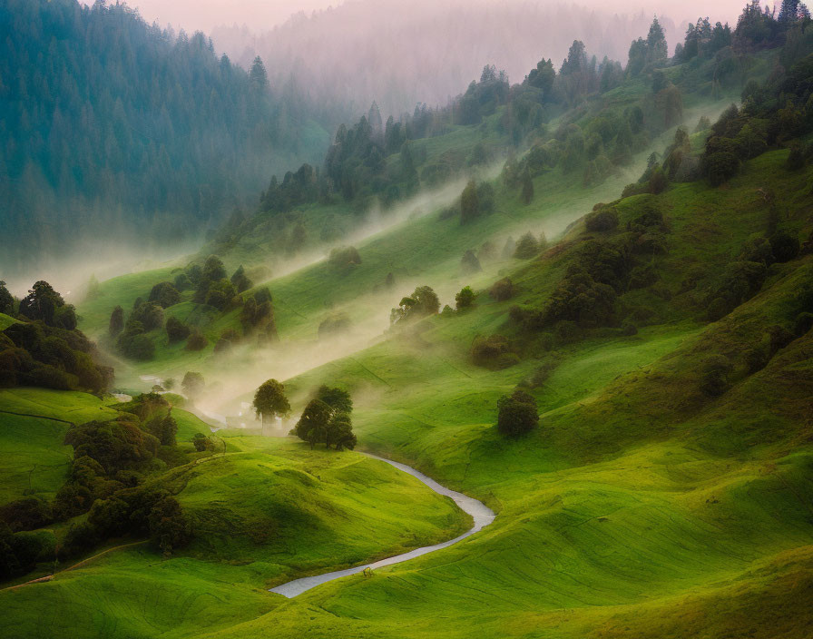 Winding River in Misty Green Valley with Forested Hills