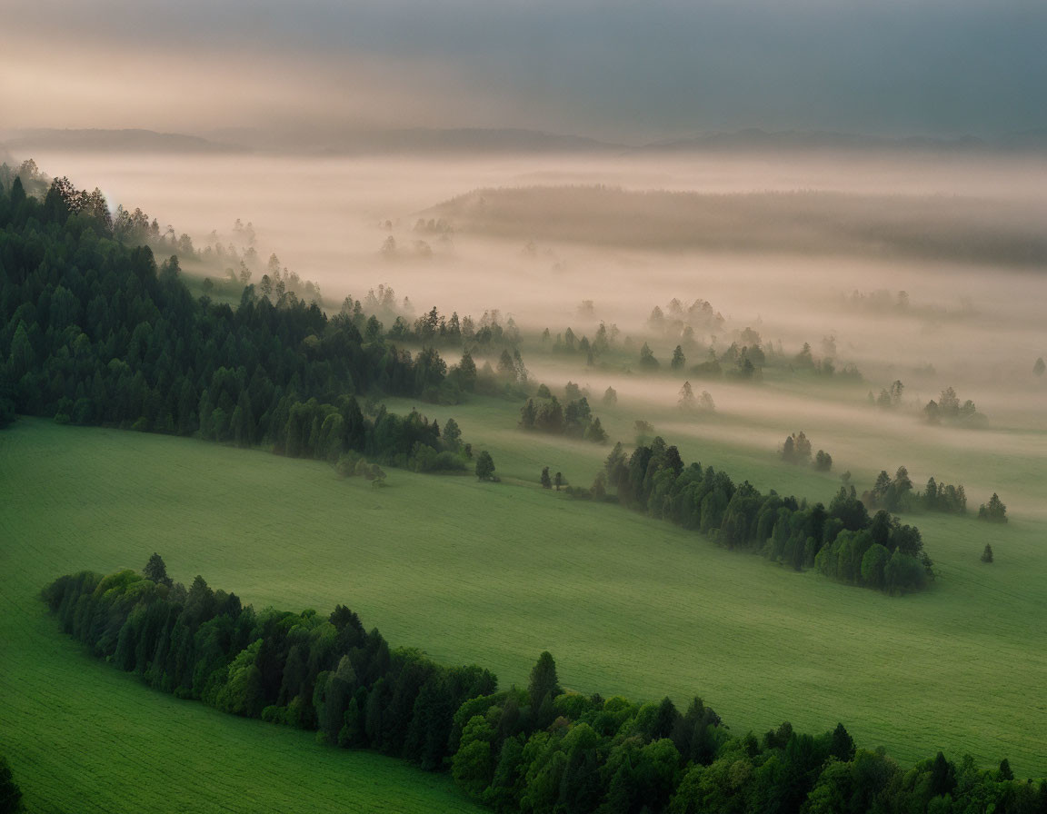 Green fields and misty rolling hills at dawn or dusk