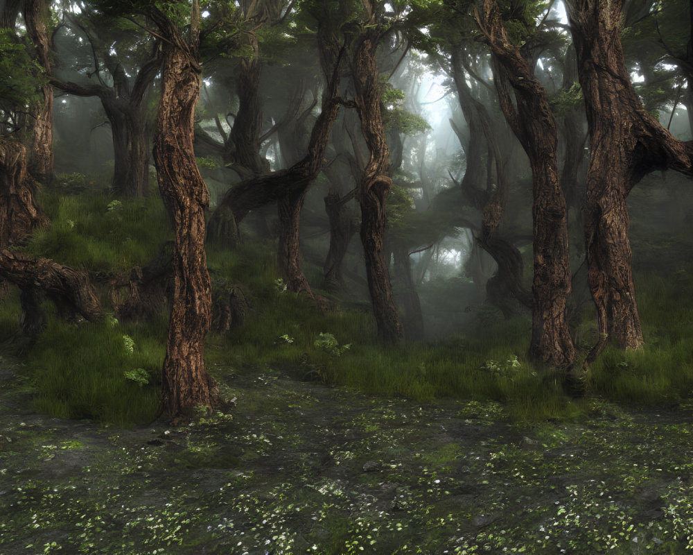 Misty forest with gnarled trees and green moss carpet