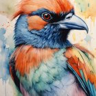 Colorful Bird Watercolor Painting with Orange Crest and Teal Feathers