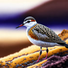 Colorful Sandpiper Perched on Mossy Rocks in Purple and Brown Setting