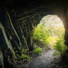 Enchanted forest clearing with stone pathway and arched ruins surrounded by greenery