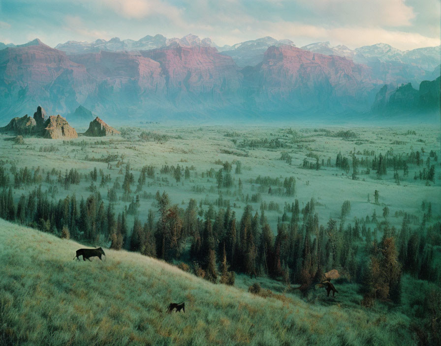 Tranquil landscape: Horses grazing on grassy meadow, misty reddish cliffs