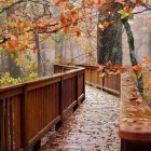 Serene autumn forest scene with wooden bridge, stream, waterfall, and vibrant fall colors