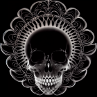 Stylized black skull with metallic and feather-like designs