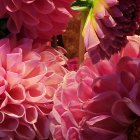 Woman with bold makeup and windblown hair holding flowers in dreamy setting.