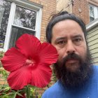 Man with Blue Hair and Red Flower by Colorful Window