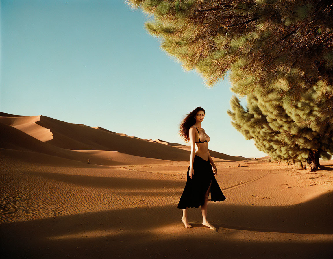 Woman in Black Dress by Green Tree in Desert Sunset