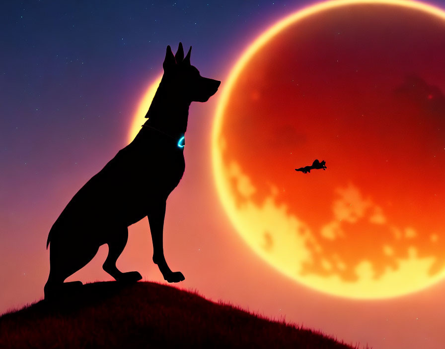 Silhouette of dog, red moon, and flying witch on hill.