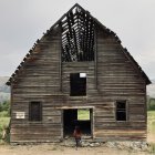 Unique Wooden House with Face-Like Features in Grass Field