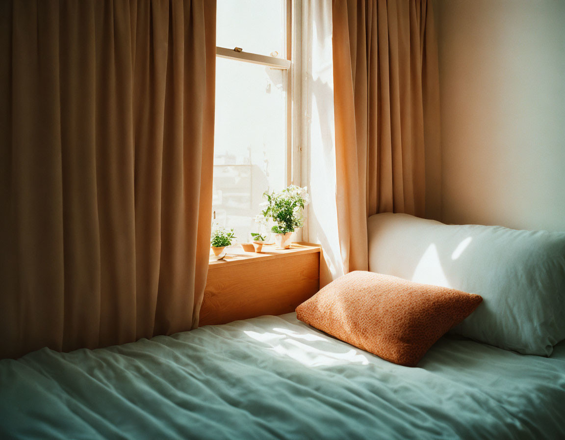 Sunlit cozy bedroom with terracotta pillow and plant on windowsill